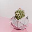 cac7.png Geodesic cactus pot planter