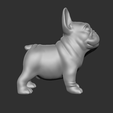 FBD04.png Frage Französische Bulldogge