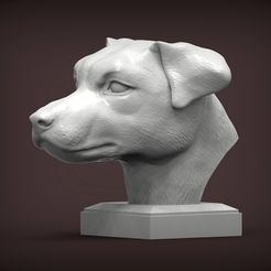 Jack_Russell_Terrier2.jpg Файл 3D Jack Russell Terrier 3D print model・Дизайн для загрузки и 3D-печати