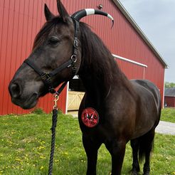 Cornes Helluva Boss Blitzos avec serre-tête