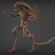 Alien_Pose_1.397.jpg Alien Pose