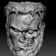 ZBrush-ScreenGrab01.jpg WOLVERINE ACTION FIGURE HEAD (half face damage)