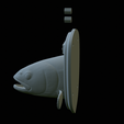 Rainbow-trout-solo-model-open-mouth-1-34.png fish head trophy rainbow trout / Oncorhynchus mykiss open mouth statue detailed texture for 3d printing