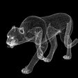 YHG.jpg DOWNLOAD Cheetah 3d model - animated for blender-fbx-unity-maya-unreal-c4d-3ds max - 3D printing Cheetah - LEOPARD - RAPTOR - PREDATOR - CAT - FELINE