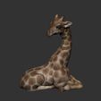 WhatsApp-Image-2021-07-14-at-11.02.07-(1).jpeg Giraffe Vase