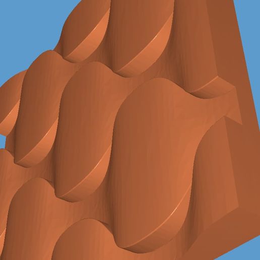 WhatsApp-Image-2023-01-22-at-10.24.50-PM.jpeg Cheshuya