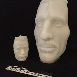 2021-01-05_11.17.39.jpg The Vase Face - Tesla / Einstein - Hollow Face Illusion