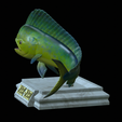 mahi-mahi-model-1-5.png fish mahi mahi / common dolphin trophy statue detailed texture for 3d printing