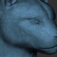 23.jpg Cougar / Mountain Lion head for 3D printing