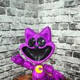 IMG_20240211_184759.jpg CatNap toy 3d model