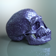 Scull-5c.png Orcish Rune Scull