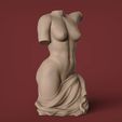 01.jpg Female Torso 3D Model