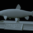 Grass-carp-statue-35.png fish grass carp / Ctenopharyngodon idella statue detailed texture for 3d printing