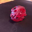 1614110082850.jpg "Cat Skull" : 3D file for sale