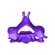 VertebralColumn39.stl Skeleton vertebral column torso bones (90 bones)