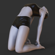 008.png Yoga Pose - Camel Pose