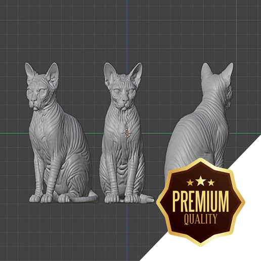 Sphynx cat