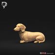 Dachshund-Miniature-Smooth-Haired-Pose-09-Dog-3D-Print-9s.jpeg Dachshund Miniature Smooth Haired Pose 09