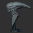 3.jpg Alien neomorfo