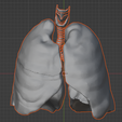 19.png 3D Model of the Lungs Airways