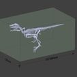 Archaeopteryx-0.jpg archaeopteryx SKELETON - FULL 3D archaeopteryx DINOSAUR BONES