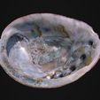 iRay-06.jpg Abalone Shell for 3D Print