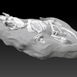 triceratops-2.png Triceratops Fossil Rock - 3D Skeleton of Triceratops Dinosaur