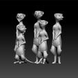 meer1.jpg Meerkat - Meerkat 3d modle for 3d print