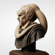 4.png Bib Fortuna - bust 100mm