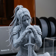 10029.png Battle Maiden: Repentance and Oaths