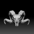 ramy2.jpg Ram Skull