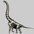 01.jpg Brachiosaurus: Complete 3D anatomy