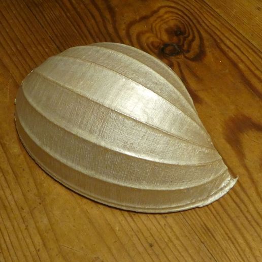 Shell