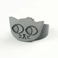 nitw_ring_1_2_thingiverse.jpg Night in the Woods - Mae Ring