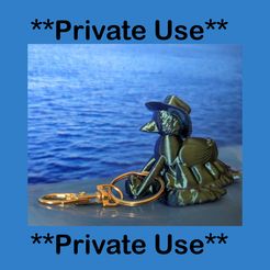Private-Use.jpg Hitching A Ride ** Private Use **