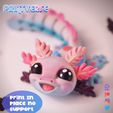 cr8.jpg Flexy Baby Axolotl