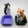 cats_and_boxes.jpg Schrodinky: British Shorthair Cat in a Box – 3D Printable, Multi Part Model - MULTI EXTRUSION PACKAGE