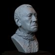 01.jpg Three Eyed Raven (Max Von Sydow) Game of Thrones character, 3d Printable Model, Bust, Portrait, Sculpture, 153mm tall, downloadable STL file
