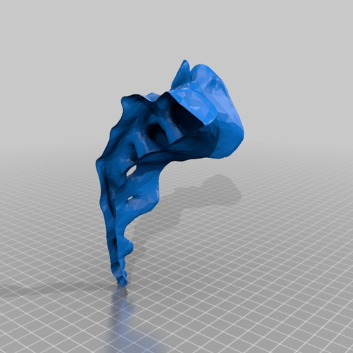 Sacrum_left.png Поясничные позвонки и крестец, в удобном формате для печати