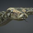 00a.jpg DOWNLOAD PYTHON 3d model - animated for blender-fbx-unity-maya-unreal-c4d-3ds max - 3D printing PYTHON SNAKE ANACONDA SNAKE ANACONDA VIPER SNAKE PYTHON COBRA PITON BASILIK BOA