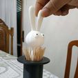 IMG_20180826_112213.jpg Rabbit Magic Hat Toothpick Holder remix