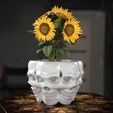 Skulls-Vase-pot-plant.jpg Skulls Vase
