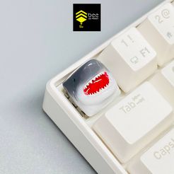 IMG_7428.jpg STL-Datei Shark Keycap - Bereit für 3d Druck・3D-druckbare Vorlage zum herunterladen