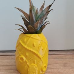 IMG_20220406_164403.jpg Spongebob's pineapplehouse pot