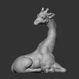 IMG-20210614-WA0031.jpg Giraffe Vase