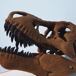tyrannosaurus-rex-skull-3d-print-model-1.jpg tyrannosaurus rex skull 3d print