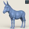 Resin-1400.jpg Donkey