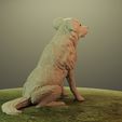 DRENDER5.jpg Cane