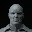 1000143872.png Breaking Bad Complete Premium 3D Bust Pack STL