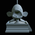 White-grouper-open-mouth-statue-43.png fish white grouper / Epinephelus aeneus open mouth statue detailed texture for 3d printing
